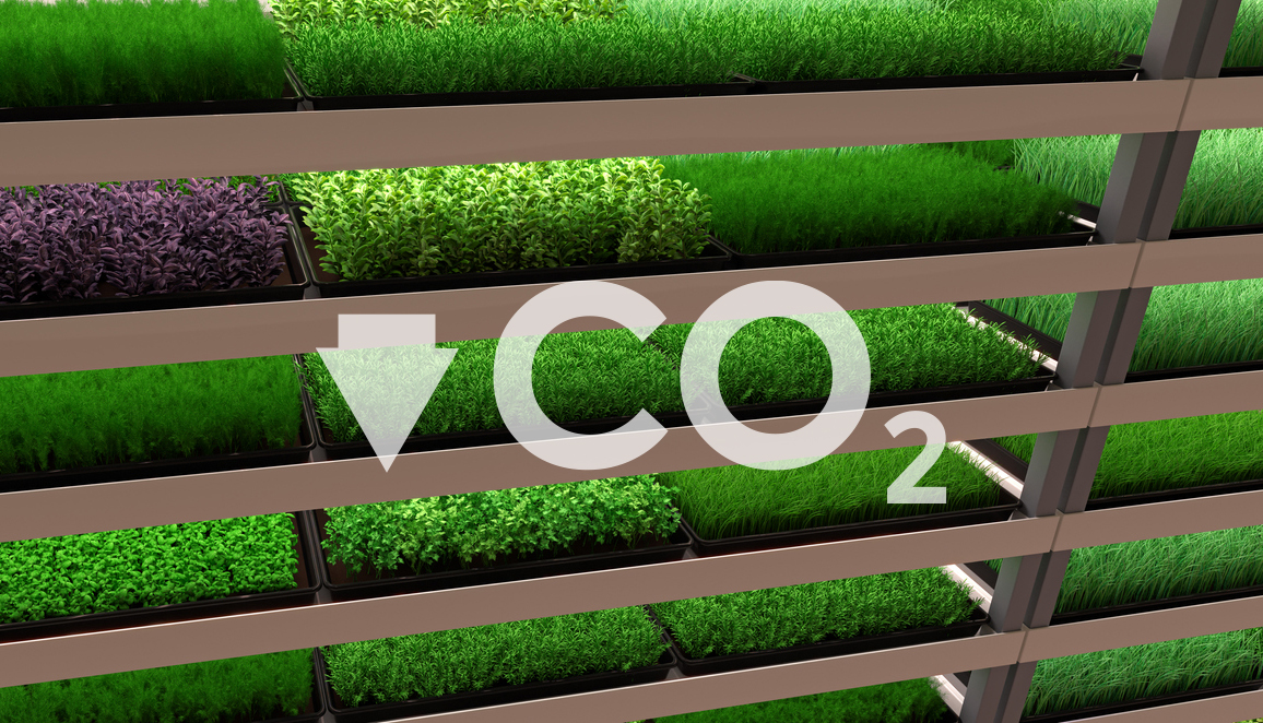 From plantation to table: vertical farming as an environmental solution